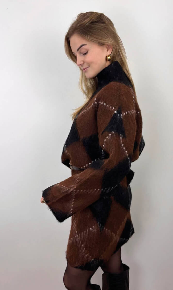 Trui olivia ruit bruin